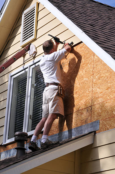 Shed Removal